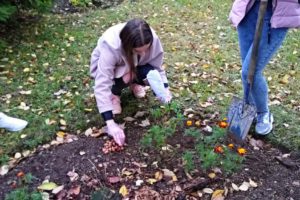 Międzynarodowy Projekt „KROKUS”